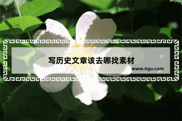 写历史文章该去哪找素材