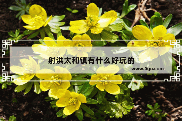 射洪太和镇有什么好玩的