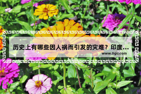 历史上有哪些因人祸而引发的灾难？印度历史发生过哪些大规模战争（内战和外族入侵）