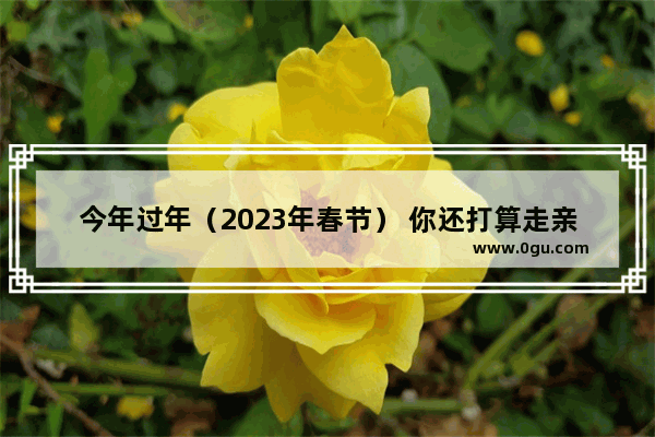 今年过年（2023年春节） 你还打算走亲访友吗