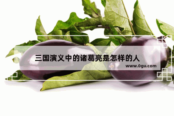 三国演义中的诸葛亮是怎样的人