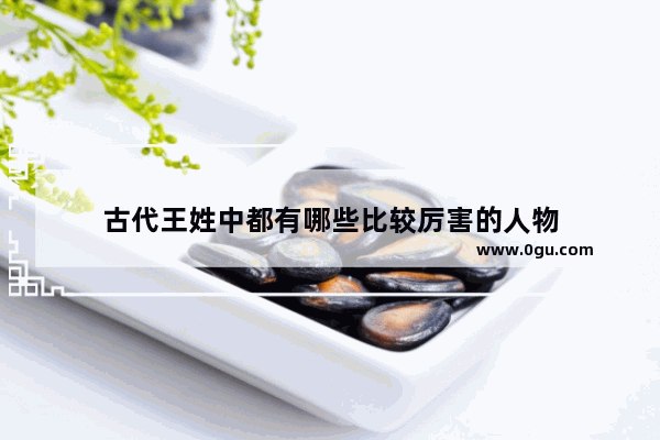古代王姓中都有哪些比较厉害的人物