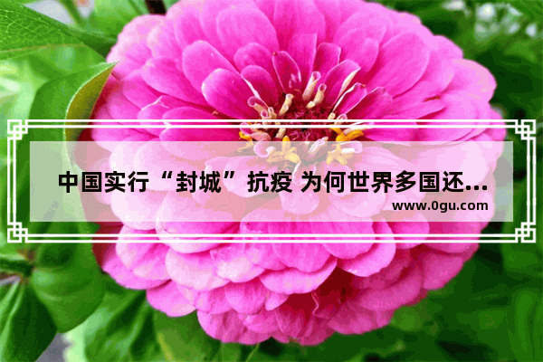 中国实行“封城”抗疫 为何世界多国还会暴发疫情 病源究竟是从哪开始的