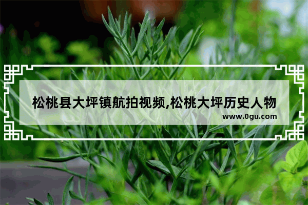 松桃县大坪镇航拍视频,松桃大坪历史人物