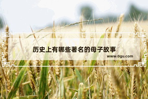 历史上有哪些著名的母子故事