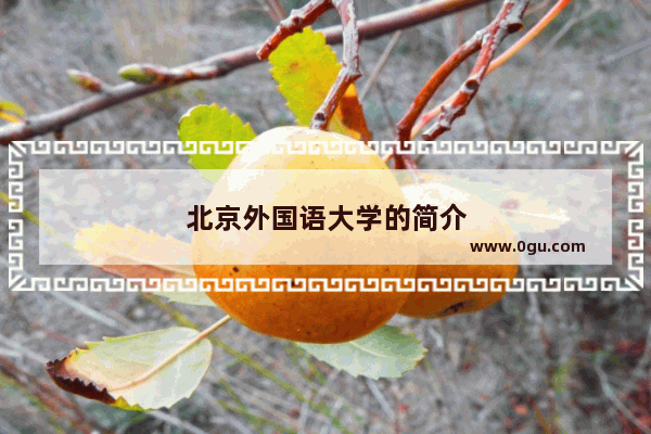 北京外国语大学的简介
