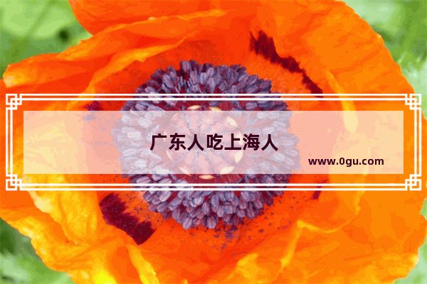 广东人吃上海人