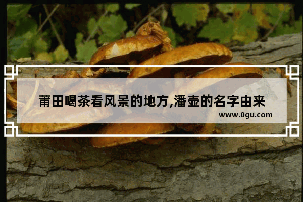 莆田喝茶看风景的地方,潘壶的名字由来