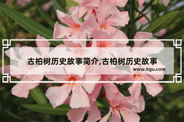 古柏树历史故事简介,古柏树历史故事