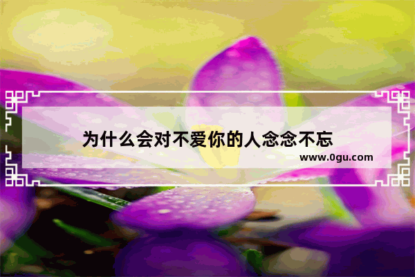 为什么会对不爱你的人念念不忘