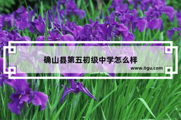 确山县第五初级中学怎么样