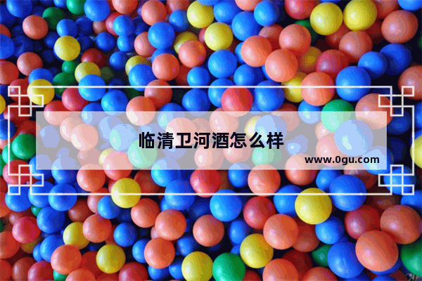 临清卫河酒怎么样