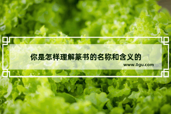 你是怎样理解篆书的名称和含义的