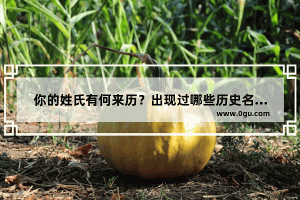 你的姓氏有何来历？出现过哪些历史名人或者英雄