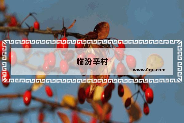 临汾辛村