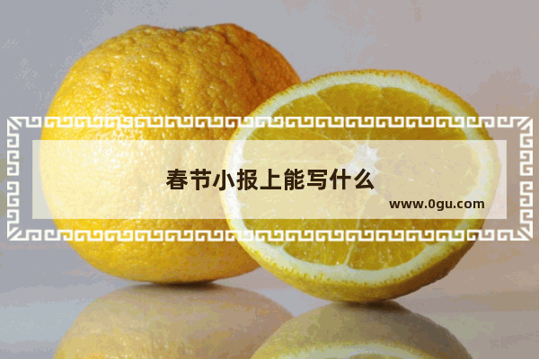 春节小报上能写什么