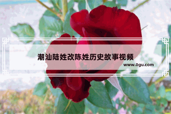 潮汕陆姓改陈姓历史故事视频