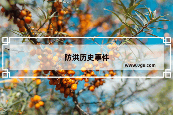 防洪历史事件