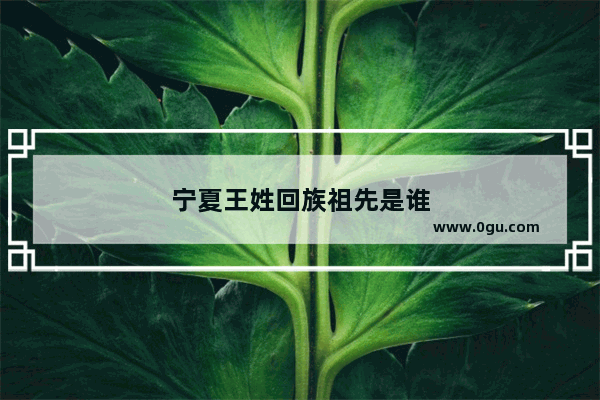 宁夏王姓回族祖先是谁