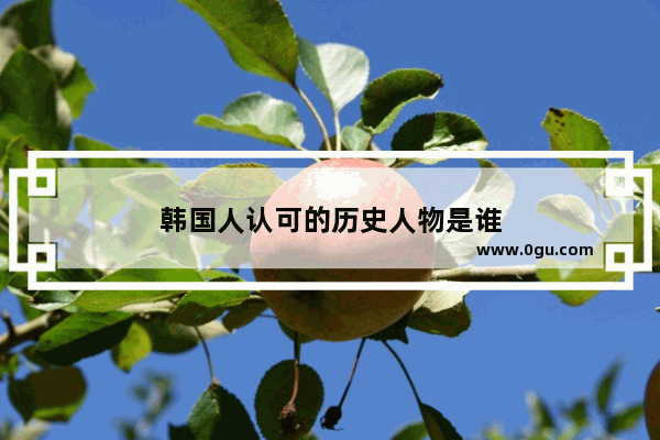韩国人认可的历史人物是谁