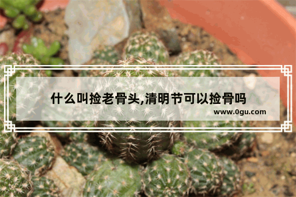 什么叫捡老骨头,清明节可以捡骨吗