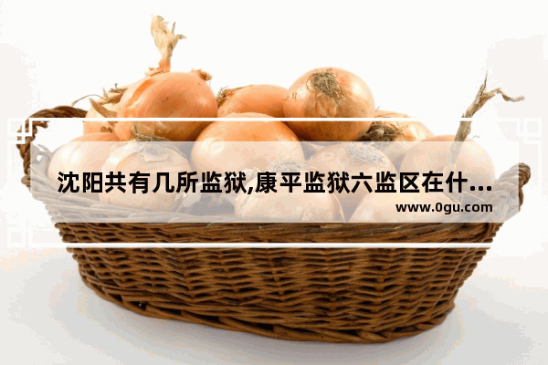 沈阳共有几所监狱,康平监狱六监区在什么位置