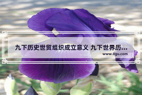 九下历史世贸组织成立意义 九下世界历史线索表