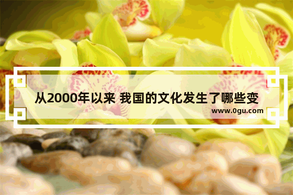 从2000年以来 我国的文化发生了哪些变化