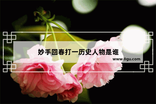 妙手回春打一历史人物是谁