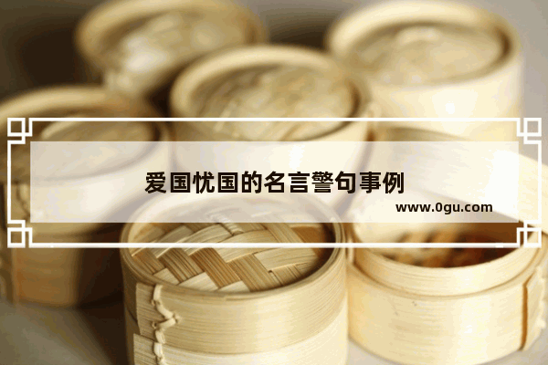 爱国忧国的名言警句事例
