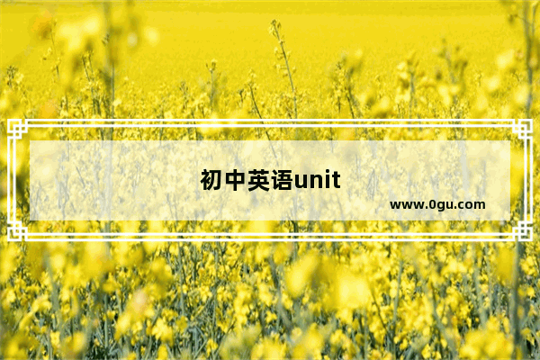 初中英语unit