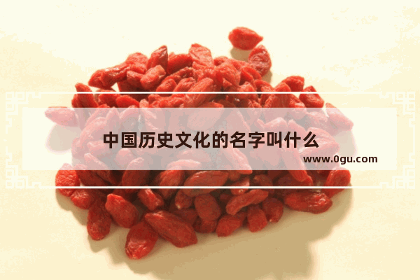中国历史文化的名字叫什么