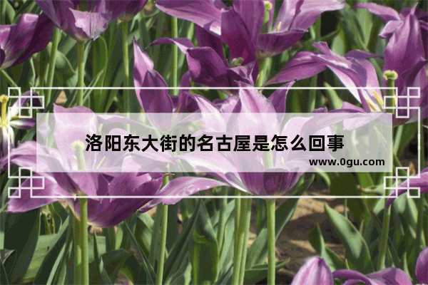 洛阳东大街的名古屋是怎么回事