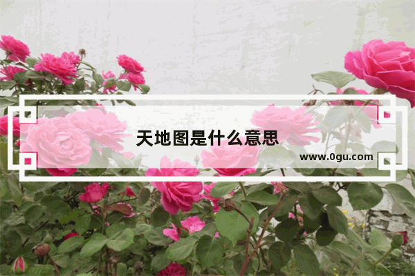 天地图是什么意思