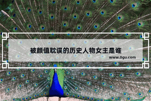 被颜值耽误的历史人物女主是谁