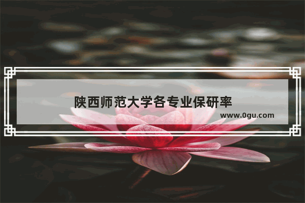 陕西师范大学各专业保研率