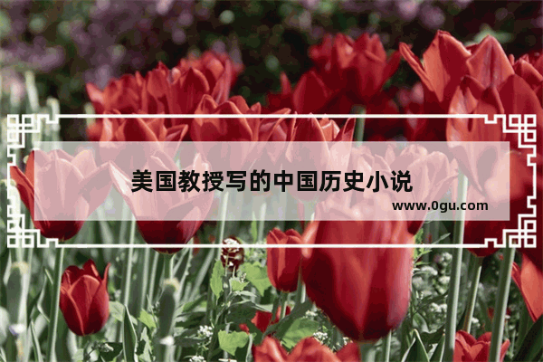 美国教授写的中国历史小说