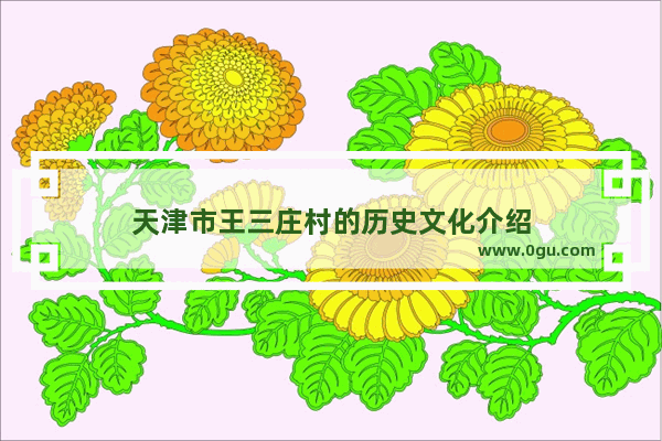 天津市王三庄村的历史文化介绍