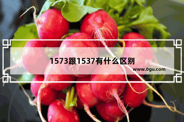 1573跟1537有什么区别