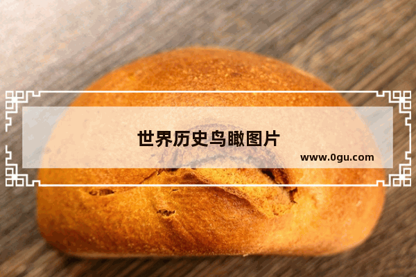 世界历史鸟瞰图片