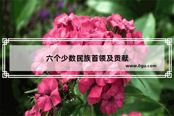 六个少数民族首领及贡献