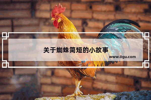 关于蜘蛛简短的小故事