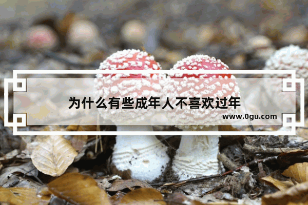 为什么有些成年人不喜欢过年