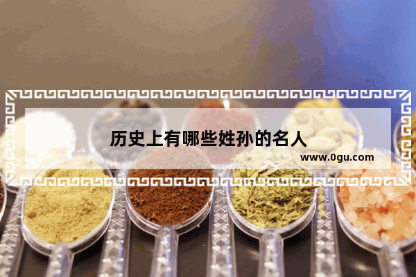 历史上有哪些姓孙的名人