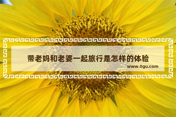 带老妈和老婆一起旅行是怎样的体验