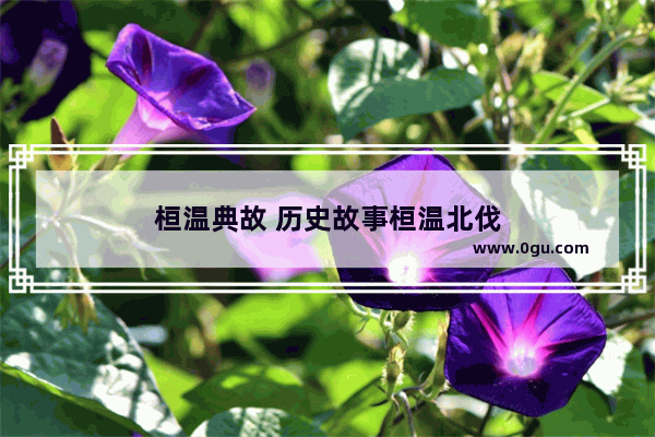 桓温典故 历史故事桓温北伐