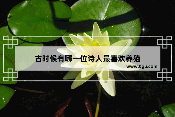 古时候有哪一位诗人最喜欢养猫
