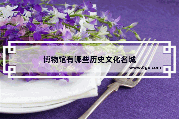 博物馆有哪些历史文化名城