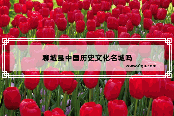 聊城是中国历史文化名城吗