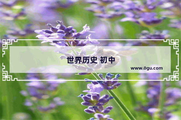 世界历史 初中
